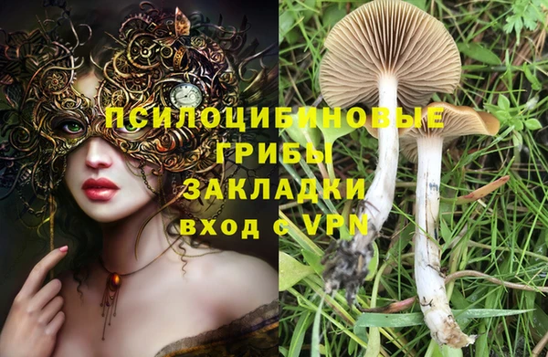 прущие крисы Коряжма