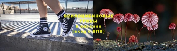 прущие крисы Коряжма