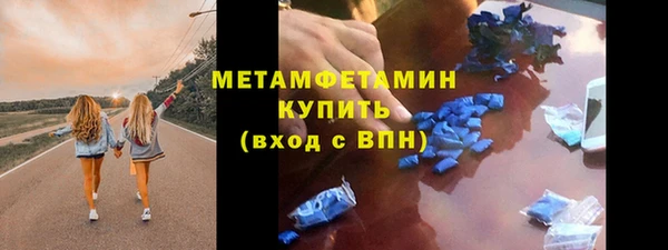гидра Козловка
