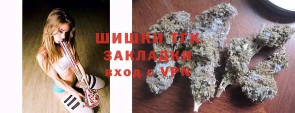 крисы Кодинск