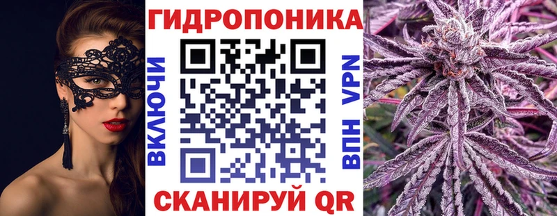 Бошки марихуана план  ОМГ ОМГ ССЫЛКА  Канск 
